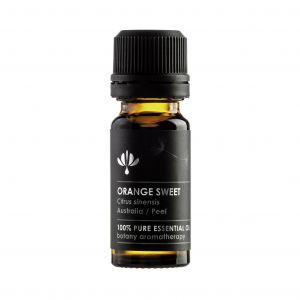 ORANGE SWEET (Citrus sinensis)