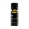 CHAMOMILE ROMAN 5% in Jojoba oil (Anthemis nobilis)